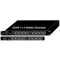 DMX Splitter Quad 1x4 1RU Rack Mount
